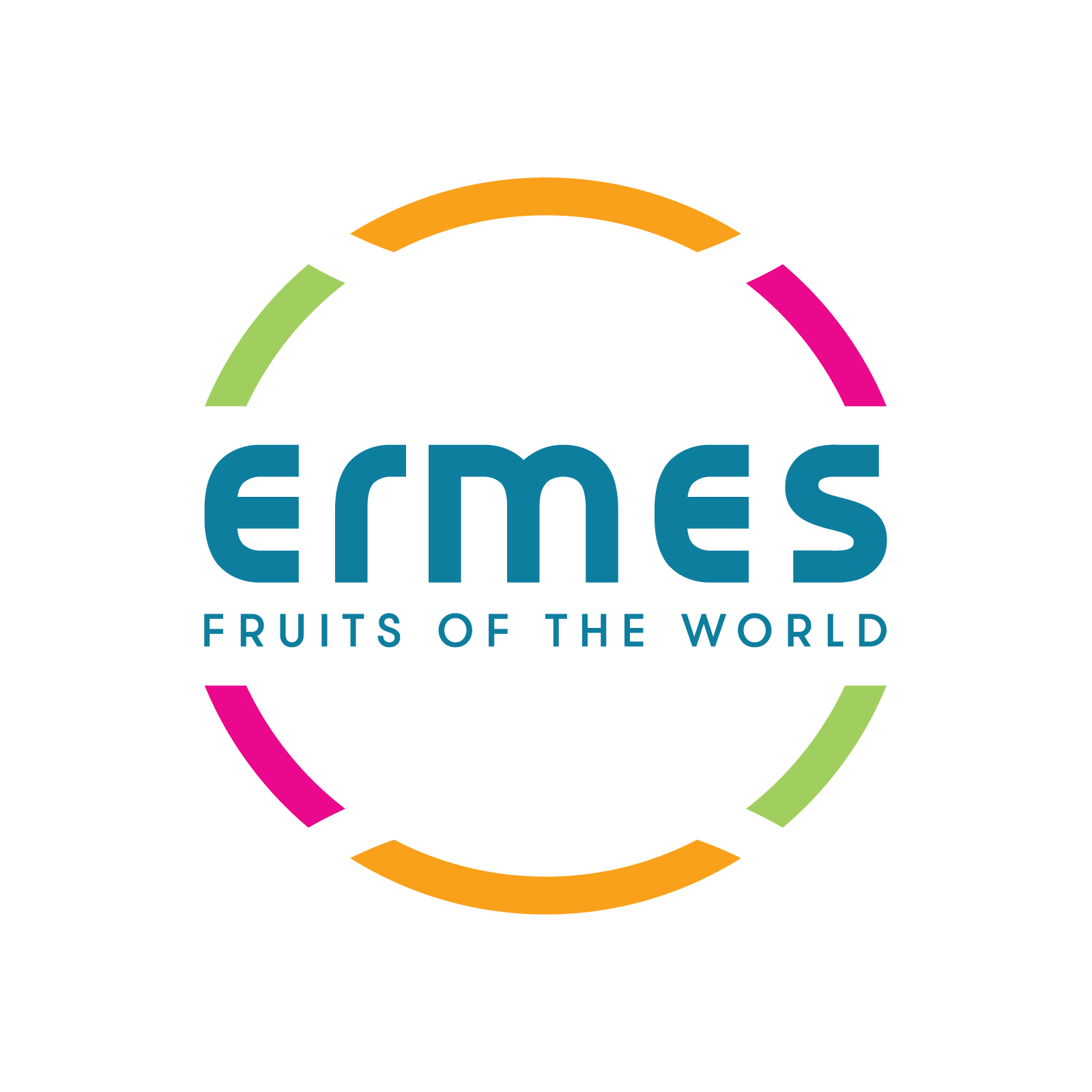 Ermes sas
